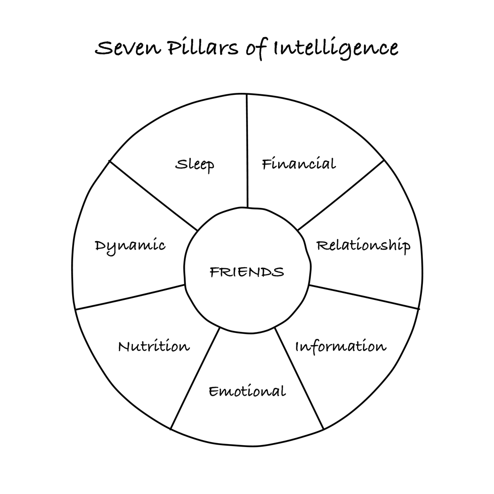 Seven Pillars of Intelligence — the wheel that opens the book.