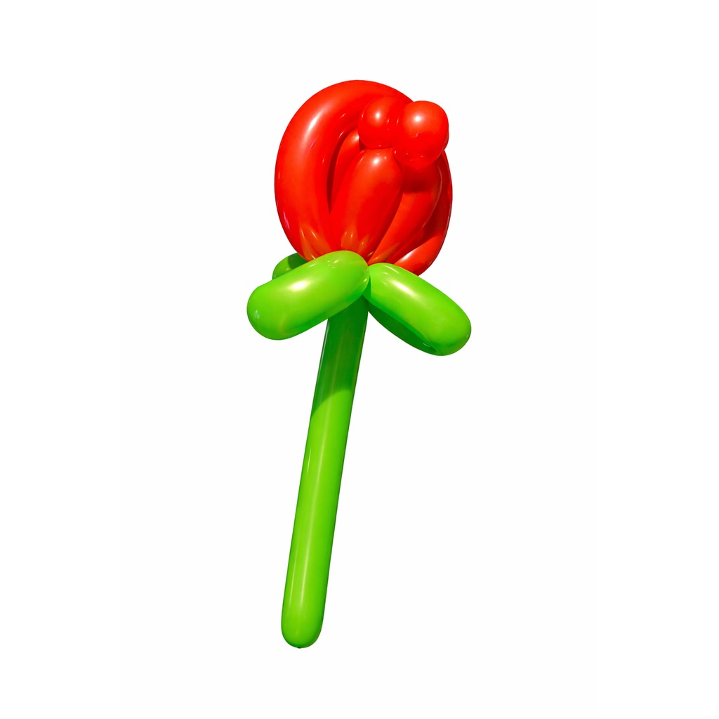 Balloon work by Little Wow Balloons